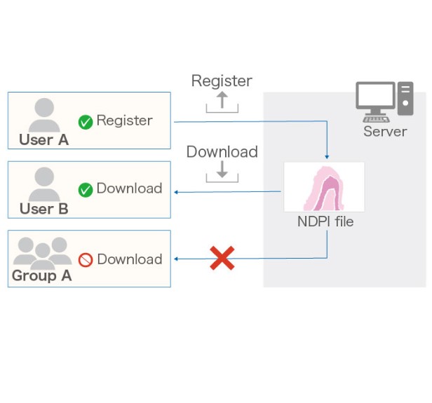 Oprogramowanie mikroskopowe Hamamatsu NZConnect
