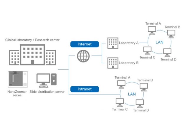 Oprogramowanie mikroskopowe Hamamatsu NZConnect