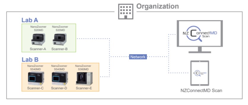 Oprogramowanie mikroskopowe Hamamatsu NZConnectMD Scan