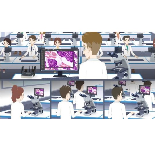 Oprogramowanie mikroskopowe OPTA-TECH Interaktywny System Mikroskopowy