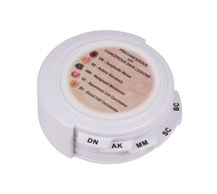 Organy i narządy 3B Scientific J56