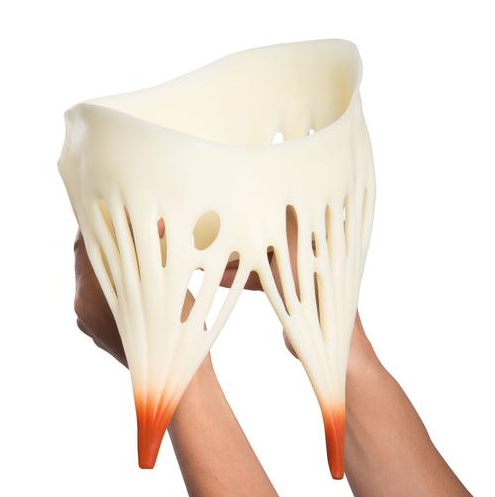 Organy i narządy 3B Scientific VD250