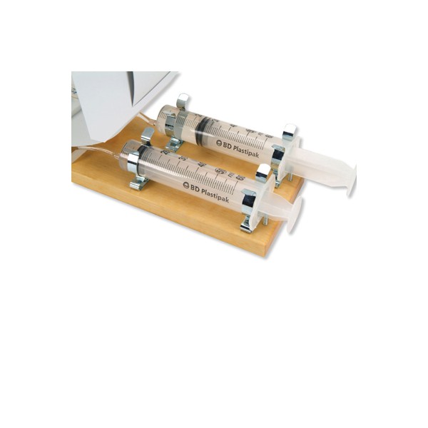 Organy i narządy 3B Scientific W16002