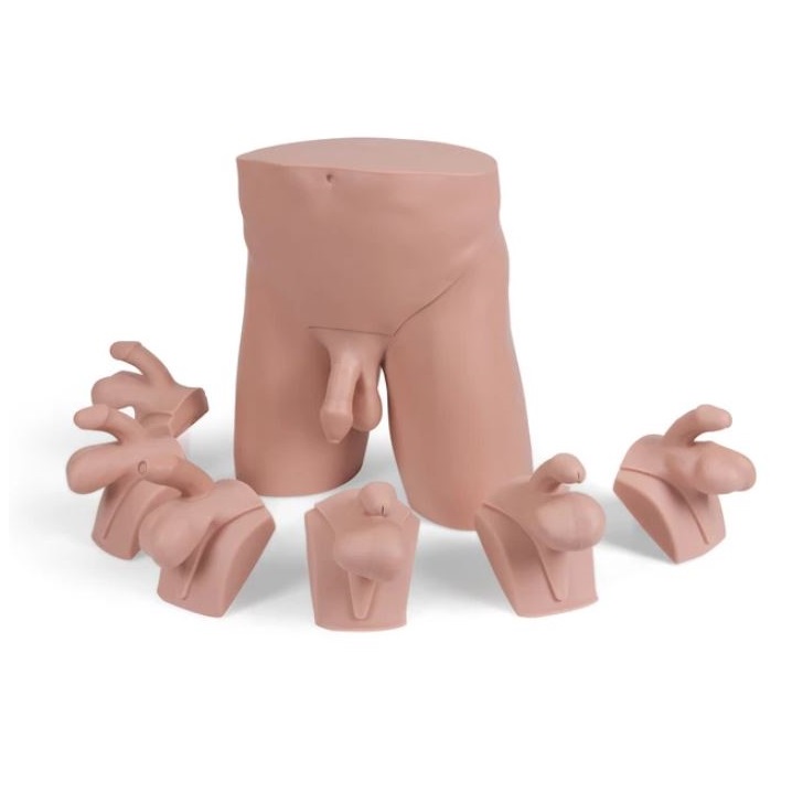 Organy i narządy Limbs&Things 60951