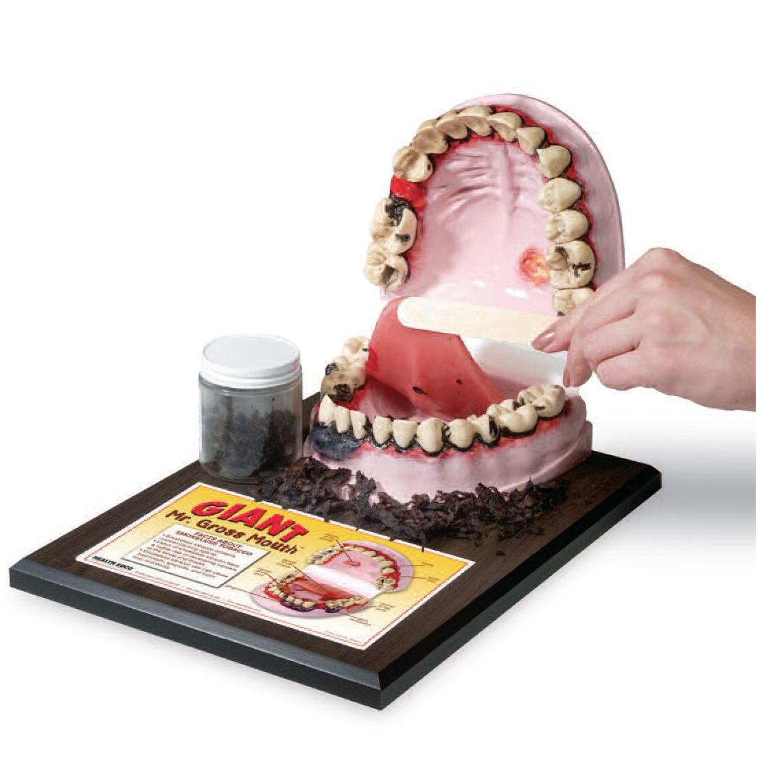 Organy i narządy Nasco Mr Gross Mouth