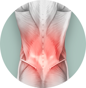 Ortezy, gorsety i pasy lędźwiowo -  krzyżowe Aspen Elite Comfort