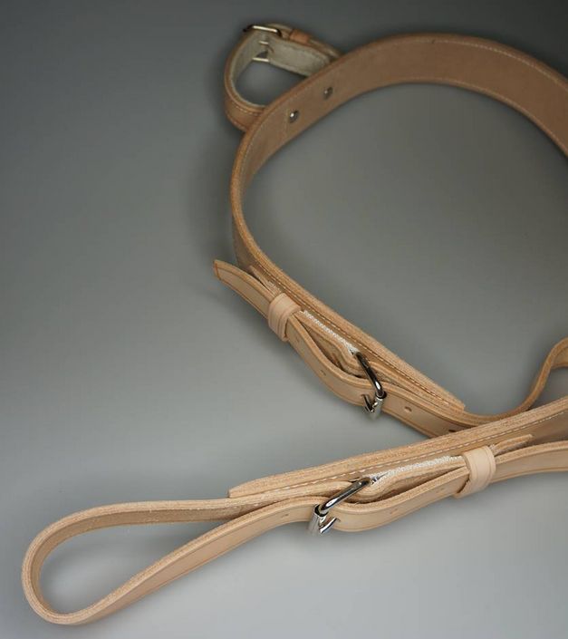 Pasy unieruchamiające pacjenta Recomedic PB-SK-RE