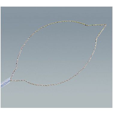 Pętle do endoskopów giętkich Wilson Instruments Pętle elektrochirugiczne  do endoskopów giętkich Wilson