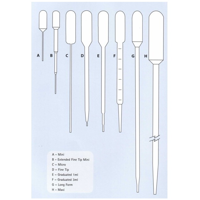 Pipety z tworzyw sztucznych International Scientific Supplies Pipety Pasteura, TYP B