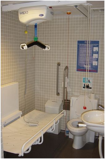 Podnośniki sufitowe Producent - Wielka Brytania WS 300