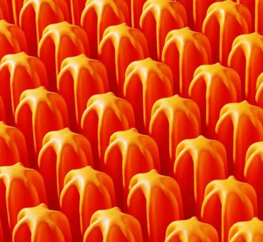 Poduszki przeciwodleżynowe powietrzne siedzeniowe SYST'AM P301C/P302C