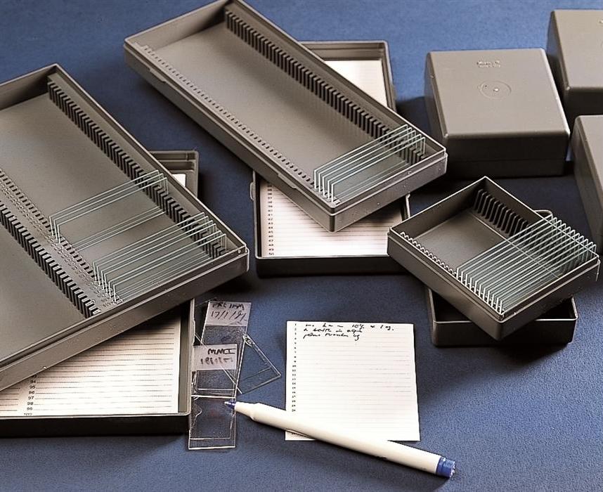 Pudełka na szkiełka mikroskopowe Kartell Pojemnik PS