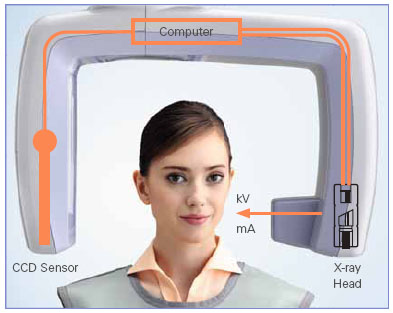 RTG pantomograficzne Morita Veraviewepocs 2D