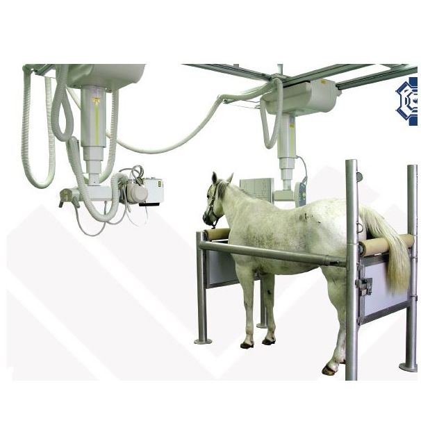 RTG weterynaryjne stacjonarne Control-X ZooMax EQUINE