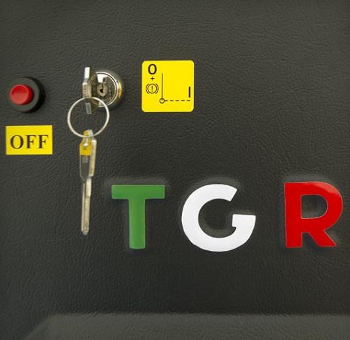 Schodołazy kroczące TGR TOLLO 120 ELECTRIC