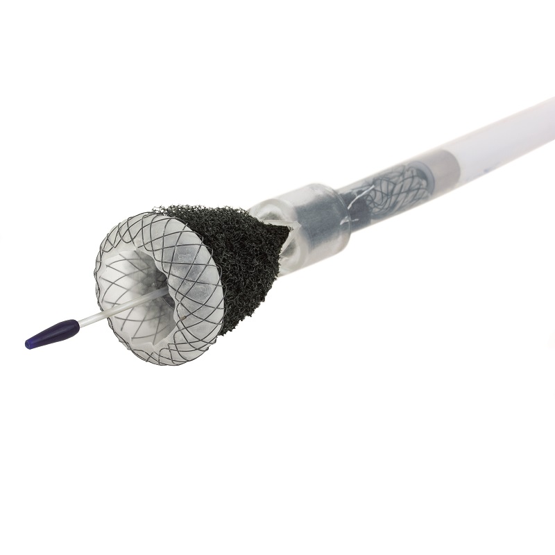 Stenty przełyku do terapii podciśnieniem do endoskopów giętkich MICRO-TECH VACStent GI