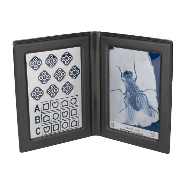 Stereotesty Stereo Optical muchy