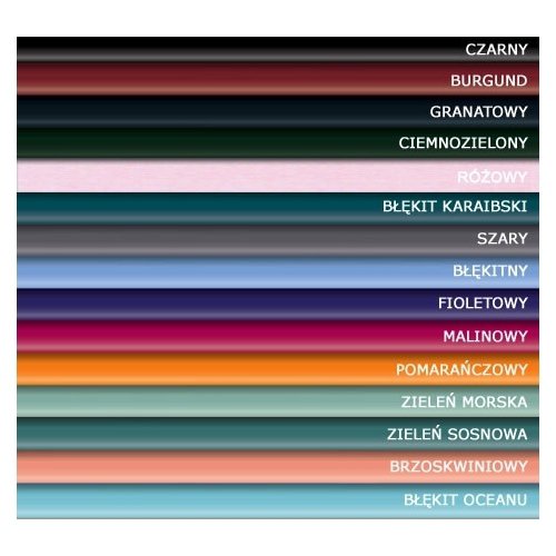 Stetoskopy konwencjonalne 3M Littmann Cardiology III