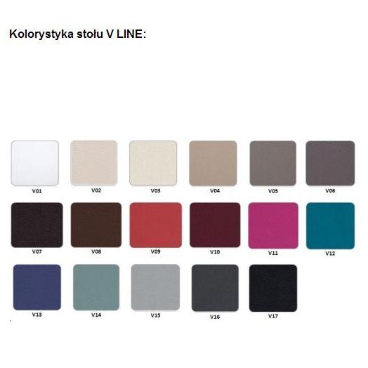 Stoły i łóżka do pionizacji Accuro-Sumer SP-R