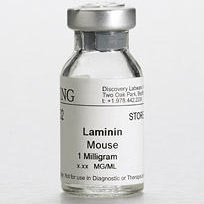Suplementy i dodatki do hodowli komórek Corning Life Science Laminina