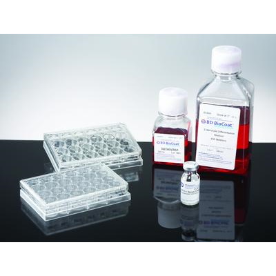 Suplementy i dodatki do hodowli komórek Corning Life Science  Środowisko do różnicowania nabłonka jelitowego BioCoat