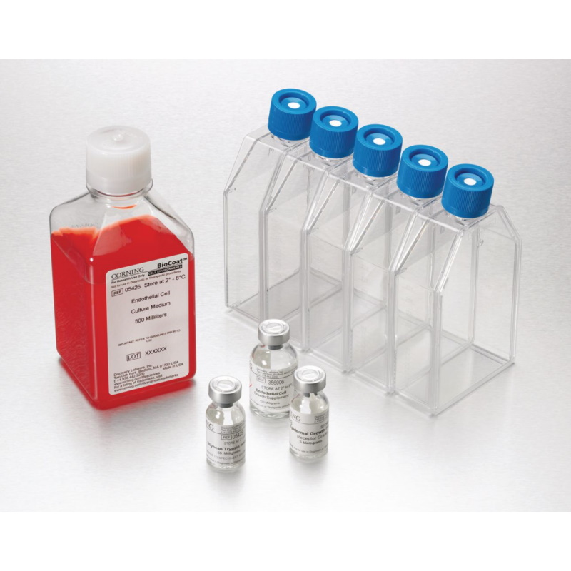 Suplementy i dodatki do hodowli komórek Corning Life Science Środowisko do wzrostu komórek śródbłonka BioCoat