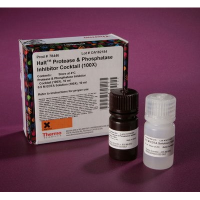 Suplementy i dodatki do hodowli komórek THERMO SCIENTIFIC koktajle inhibitorów proteaz i fosfataz Halt