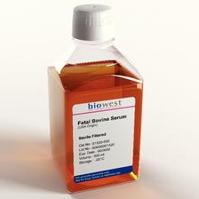 Surowice Biowest Płodowa surowic bydlęca (FBS) pochodzenie US