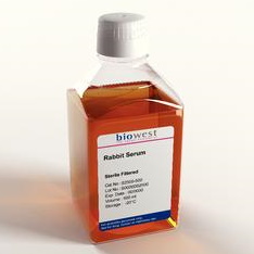 Surowice Biowest Surowica królika