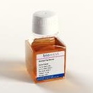 Surowice Biowest Surowica świnki morskiej