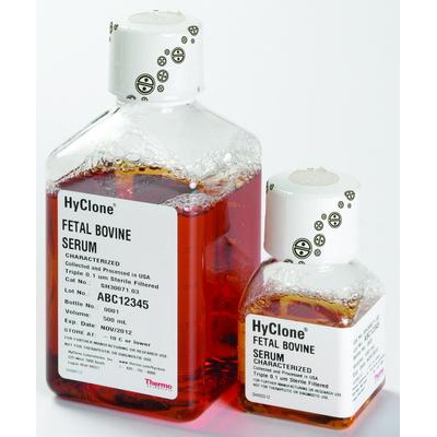 Surowice GE Healthcare HyClone Fetal Bovine Serum