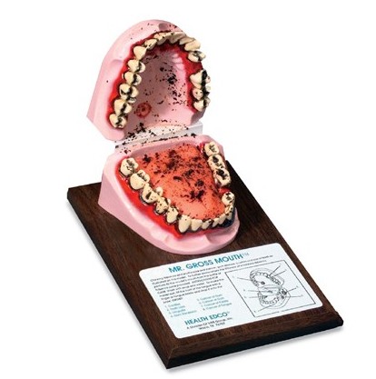 Symulatory uzależnień 3B Scientific W43013