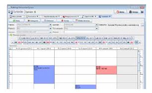 Systemy teleradiologii Synektik RIS