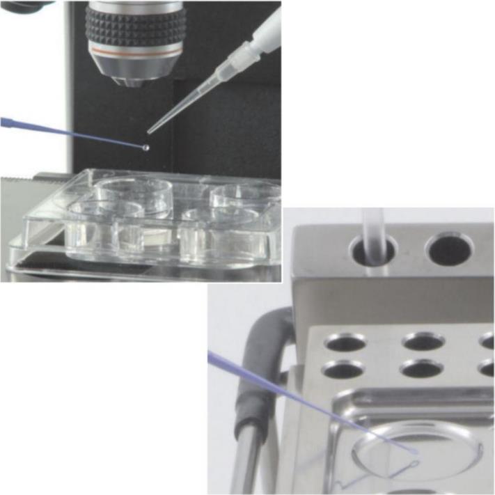 Systemy witryfikacji Cryologic CVM