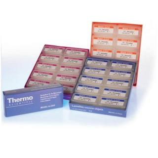 Szkiełka nakrywkowe Menzel-Glaser uniwersalne