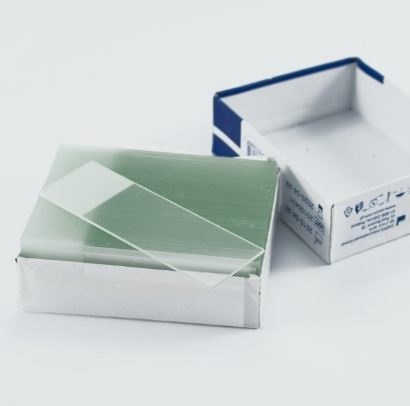 Szkiełka podstawowe B/D cięte z polem