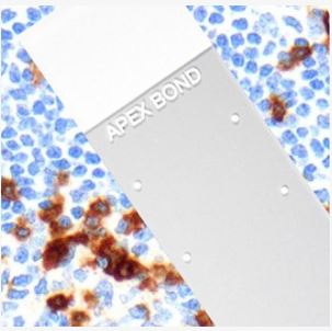 Szkiełka podstawowe LEICA BOND Slide