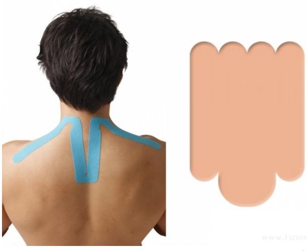 Taśmy kinezjologiczne (Tapy,Tejpy) NITTO DENKO K-Active Tape PreCut Kręgosłup Szyjny