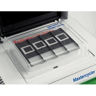 Termocyklery Eppendorf Mastercycler ep