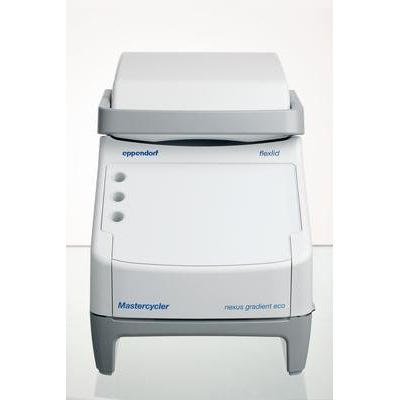 Termocyklery Eppendorf Mastercycler nexus