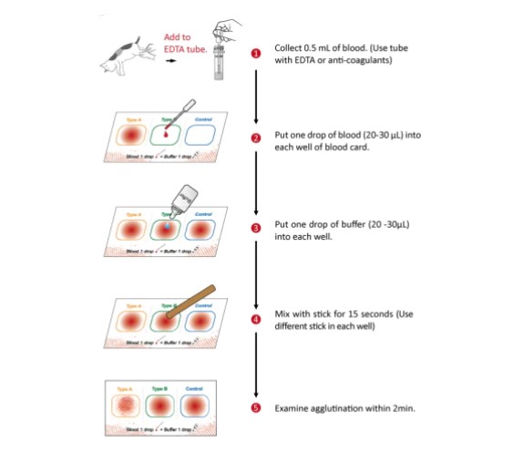 Testy diagnostyczne weterynaryjne B/D BG-BTF