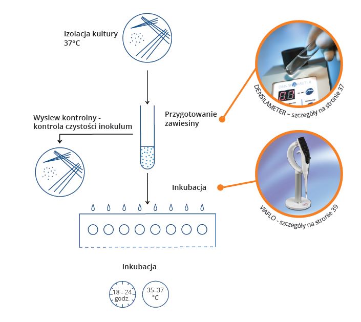 Testy do identyfikacji drobnoustrojów i lekowrażliwości ERBA Mikrolatest BP