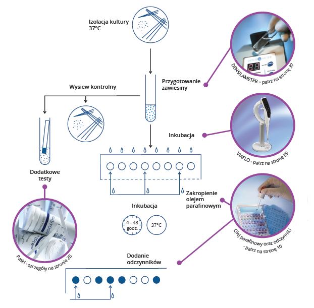 Testy do identyfikacji drobnoustrojów i lekowrażliwości ERBA Mikrolatest ID