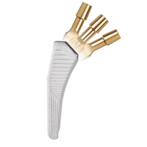 Trzpienie endoprotez stawu biodrowego PERMEDICA ORTHOPAEDICS EXACTA SM