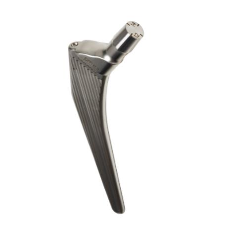 Trzpienie endoprotez stawu biodrowego PERMEDICA ORTHOPAEDICS SL SelfLocking - cementowany