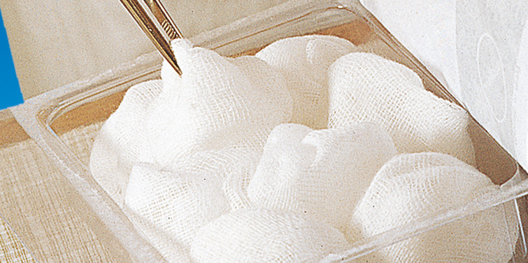 Tupfery HARTMANN Pagasling