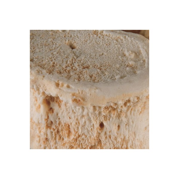 Układ kostny 3B Scientific A794