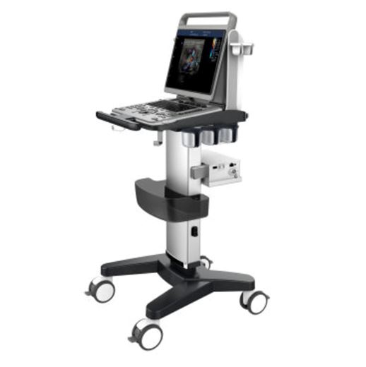 Ultrasonografy mobilne przyłóżkowe CHISON EBit 30