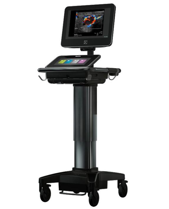 Ultrasonografy mobilne przyłóżkowe SonoSite X-Porte