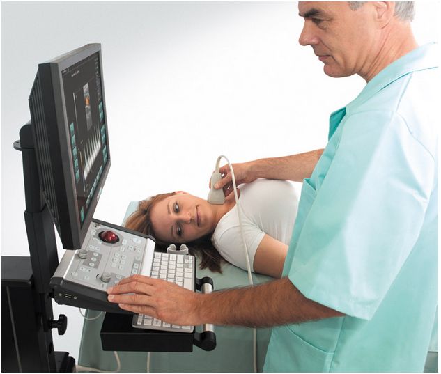 Ultrasonografy stacjonarne wielonarządowe - USG ECHO-SON SPINEL II TS Color Doppler